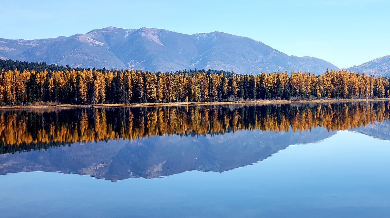 Seeley-Swan Valley Real Estate