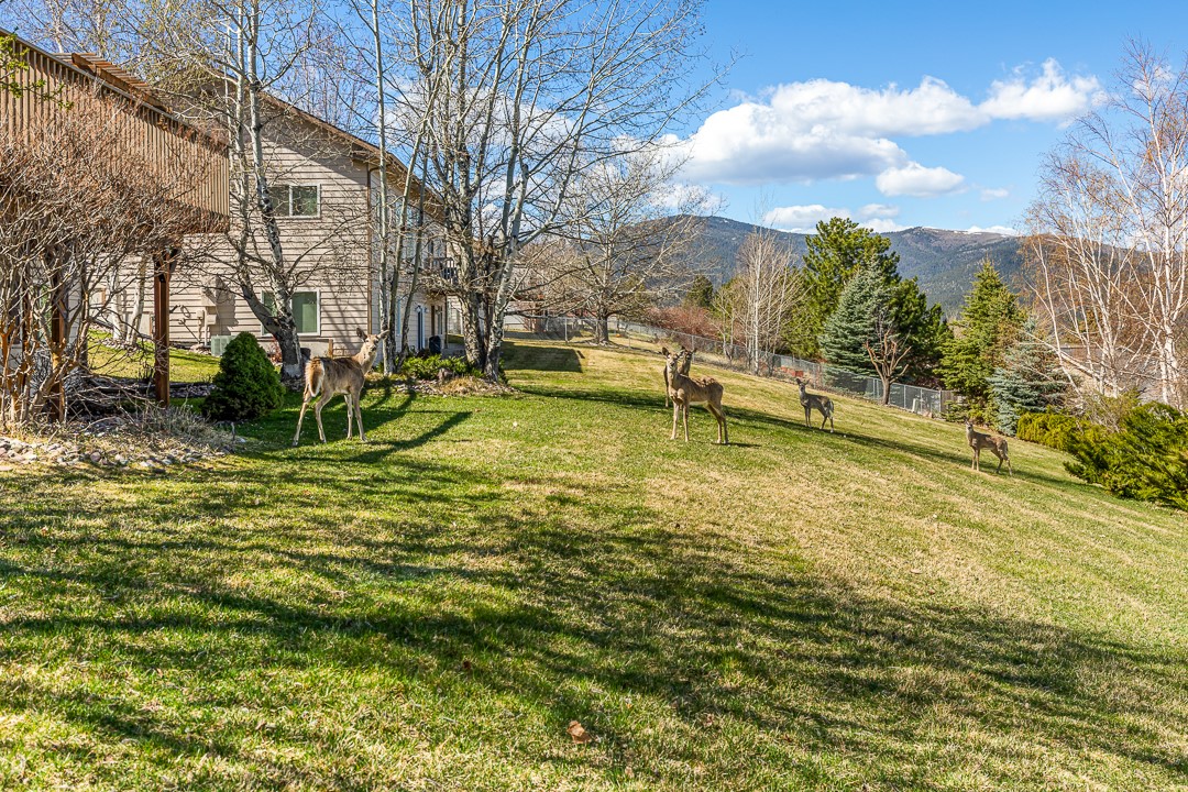 4863 Scott Allen Drive — photo 52