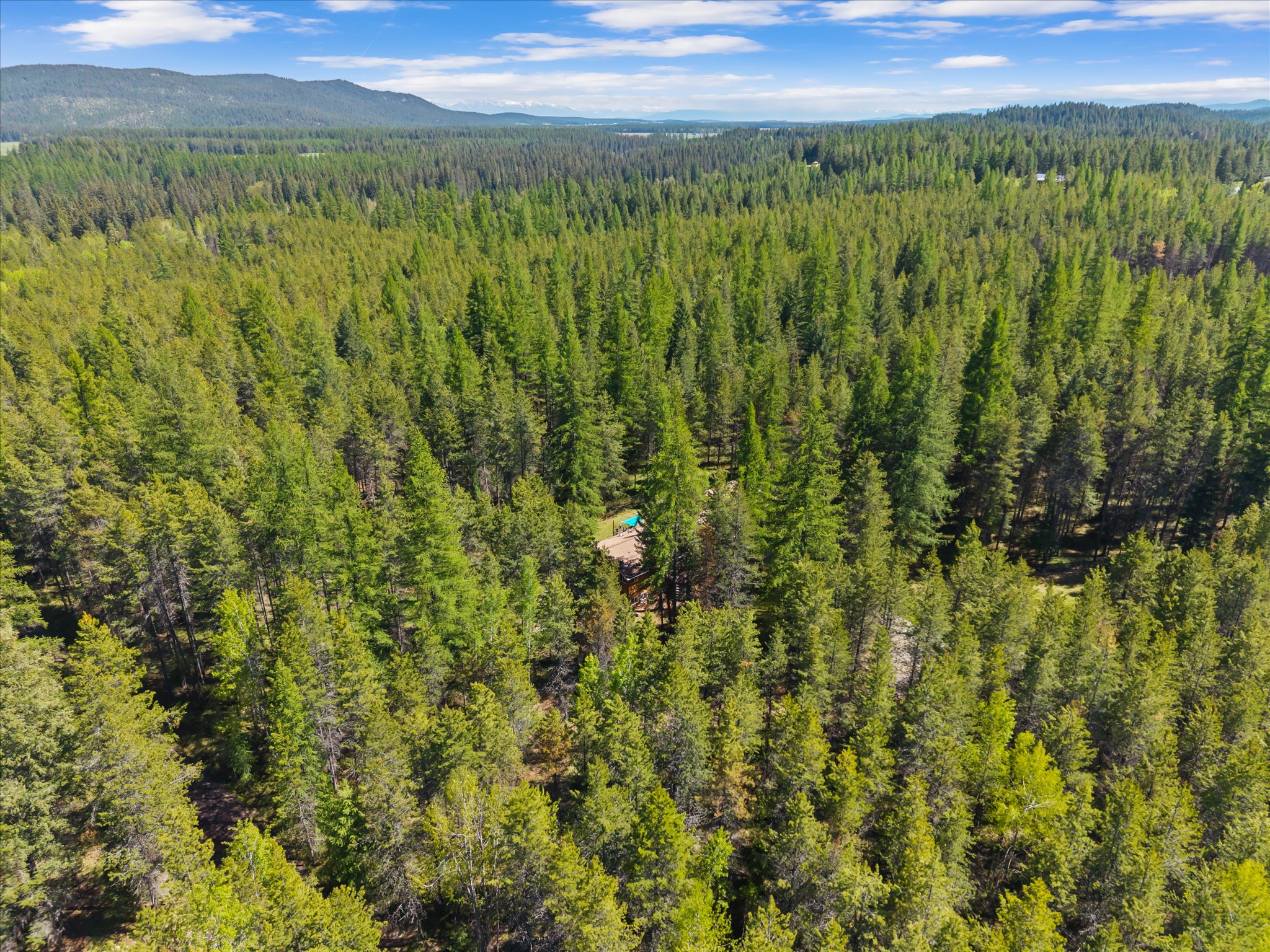 6869 Farm TO Market Road — photo 49